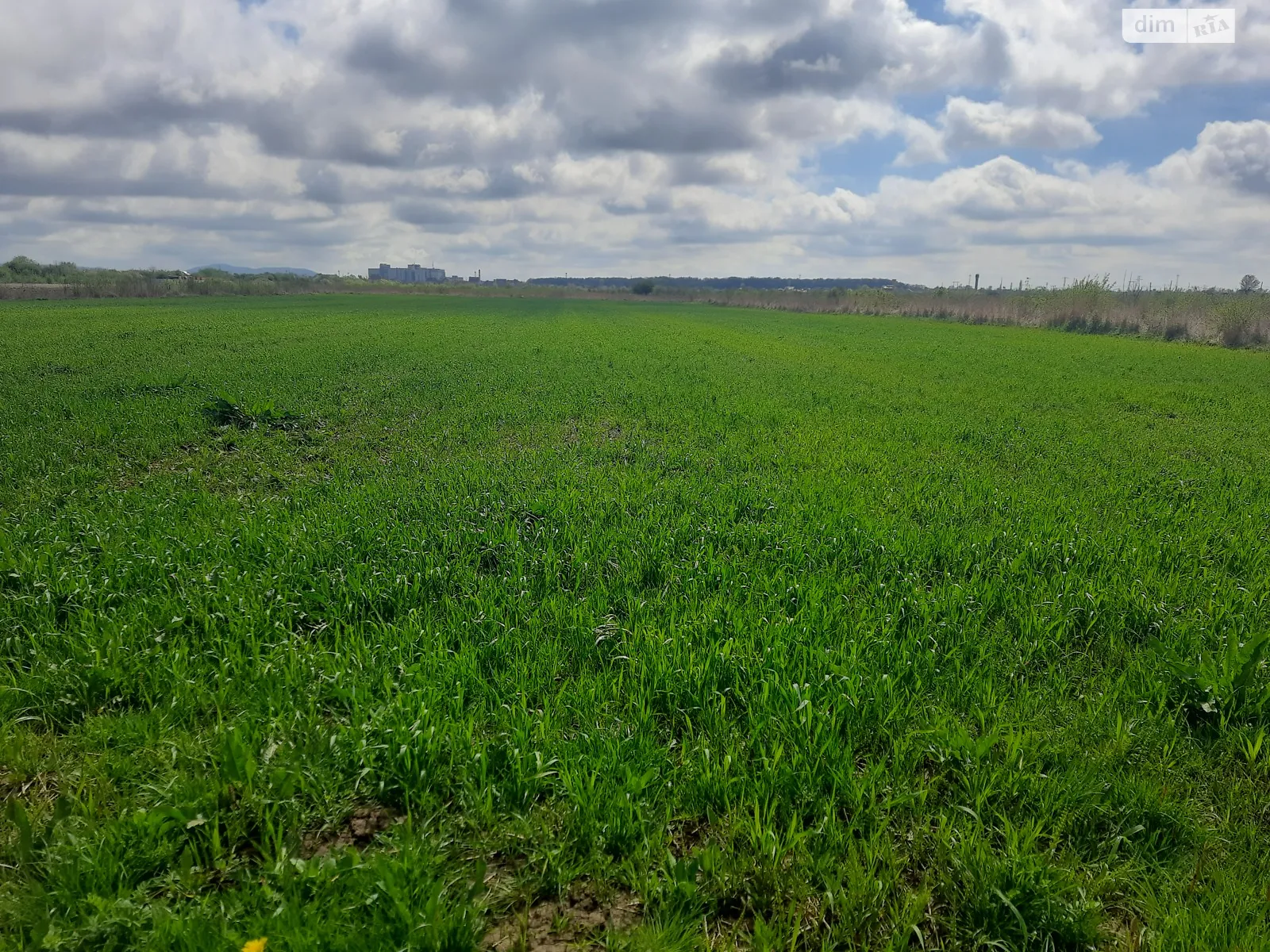 Продається земельна ділянка 10 соток у Закарпатській області, цена: 27000 $ - фото 1