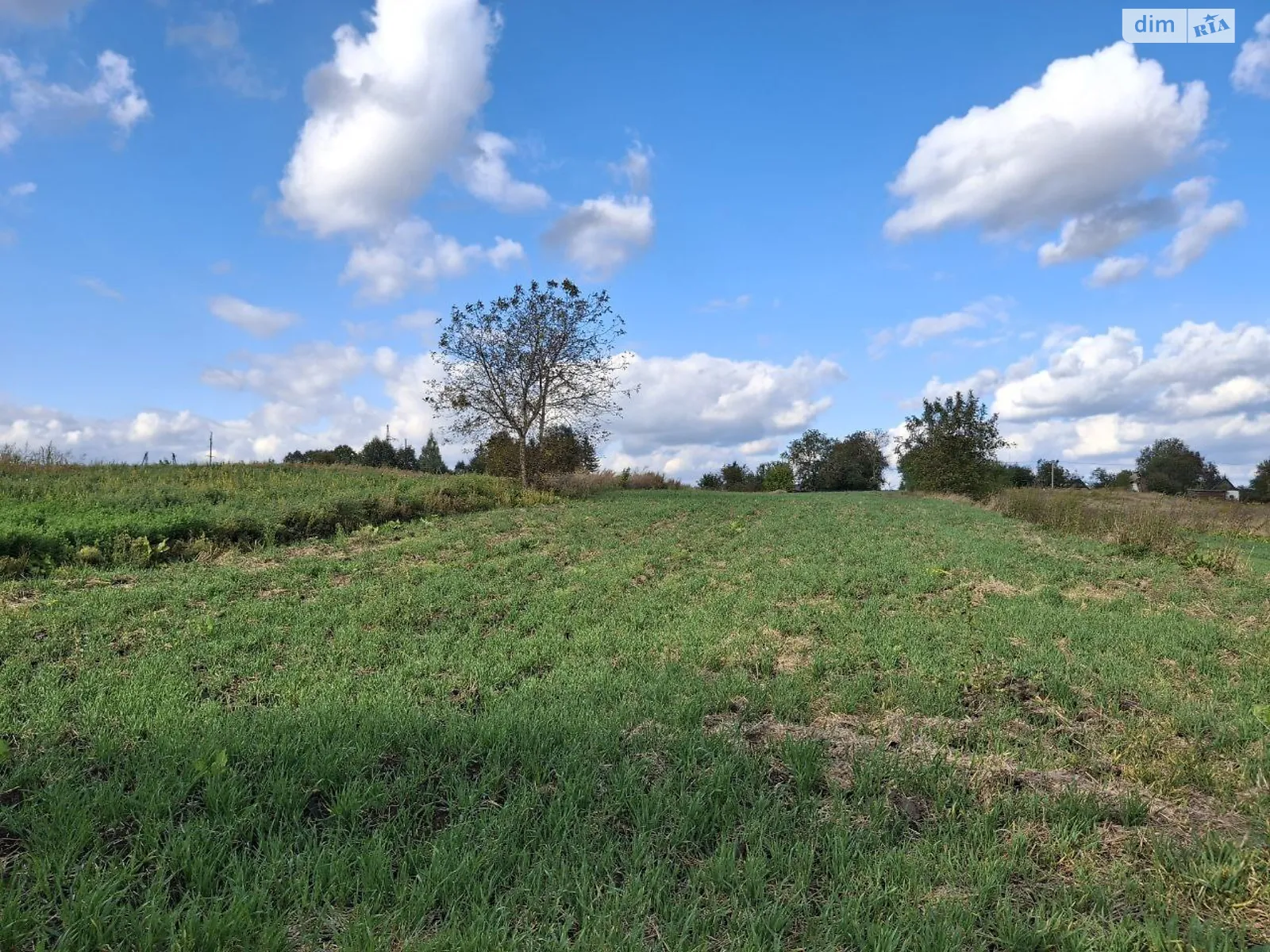 Продається земельна ділянка 43.68 соток у Житомирській області, цена: 9000 $ - фото 1
