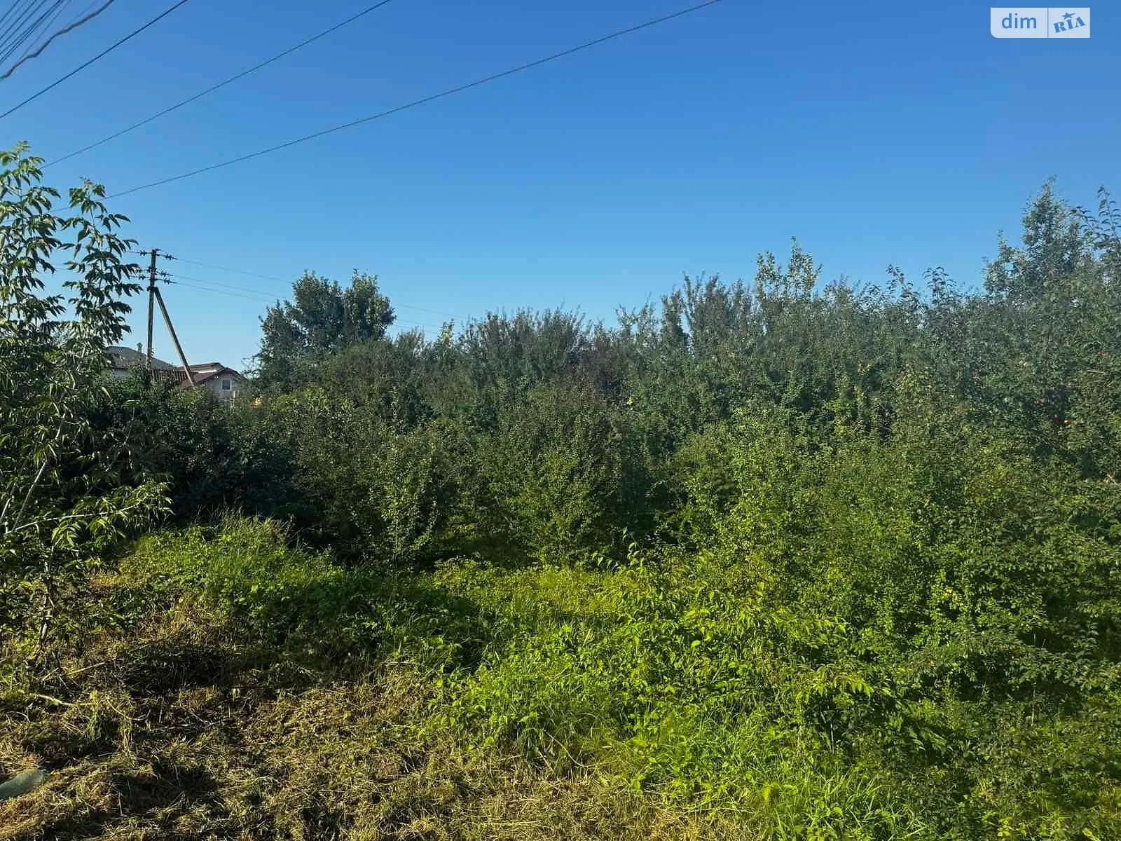 Продается земельный участок 0.0753 соток в Черновицкой области, цена: 97084 грн - фото 1