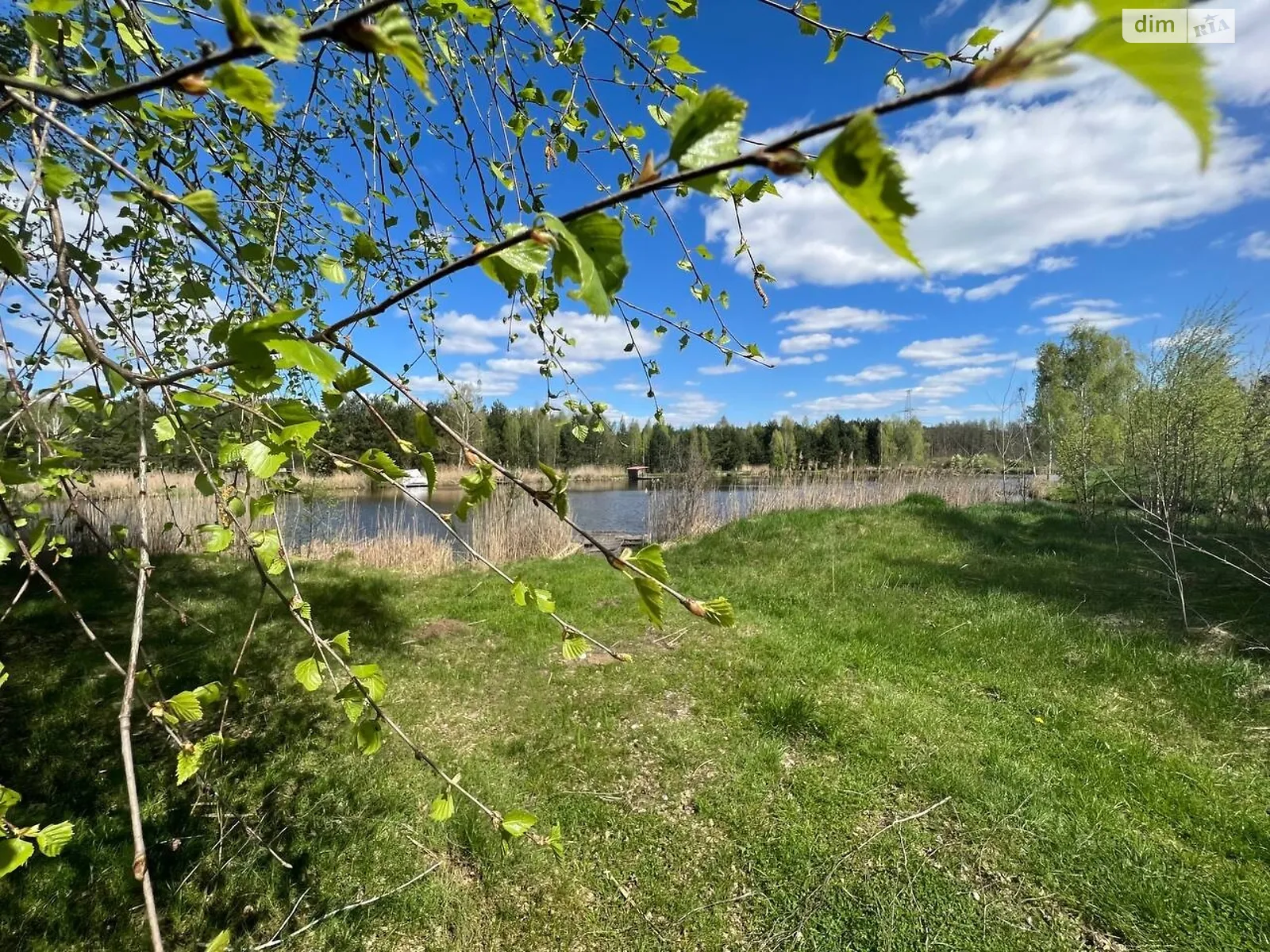 Продається земельна ділянка 25 соток у Київській області, цена: 12500 $ - фото 1