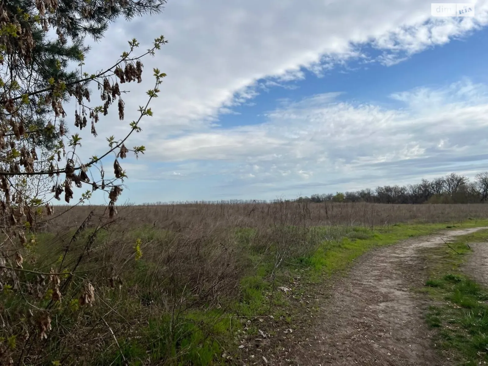 Продається земельна ділянка 71.16 соток у Київській області, цена: 15000 $ - фото 1