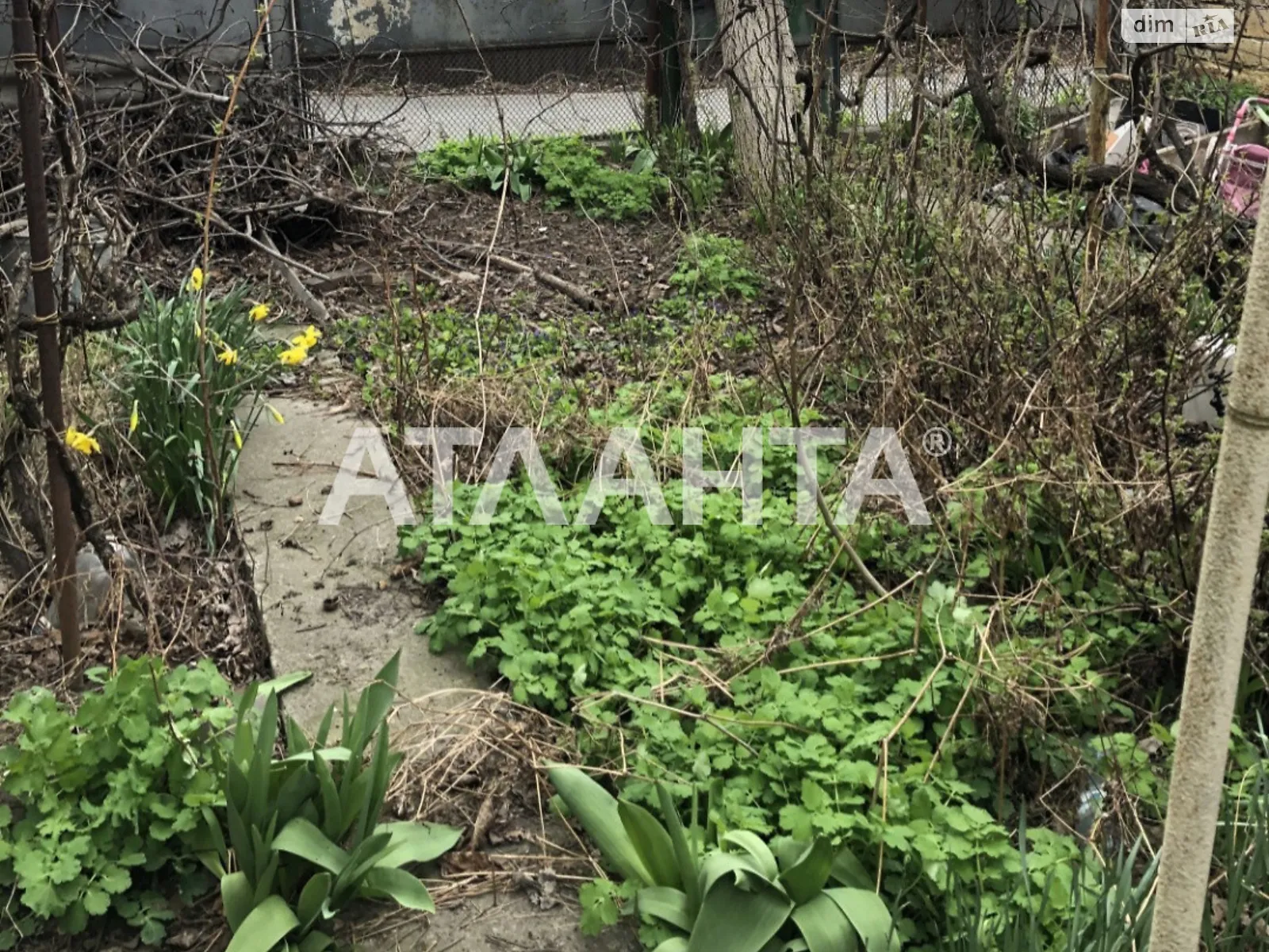 Продается земельный участок 3.14 соток в Одесской области, цена: 61500 $ - фото 1