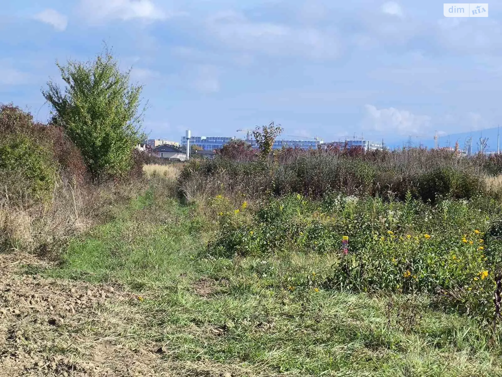 Продается земельный участок 45 соток в Закарпатской области, цена: 115000 $ - фото 1