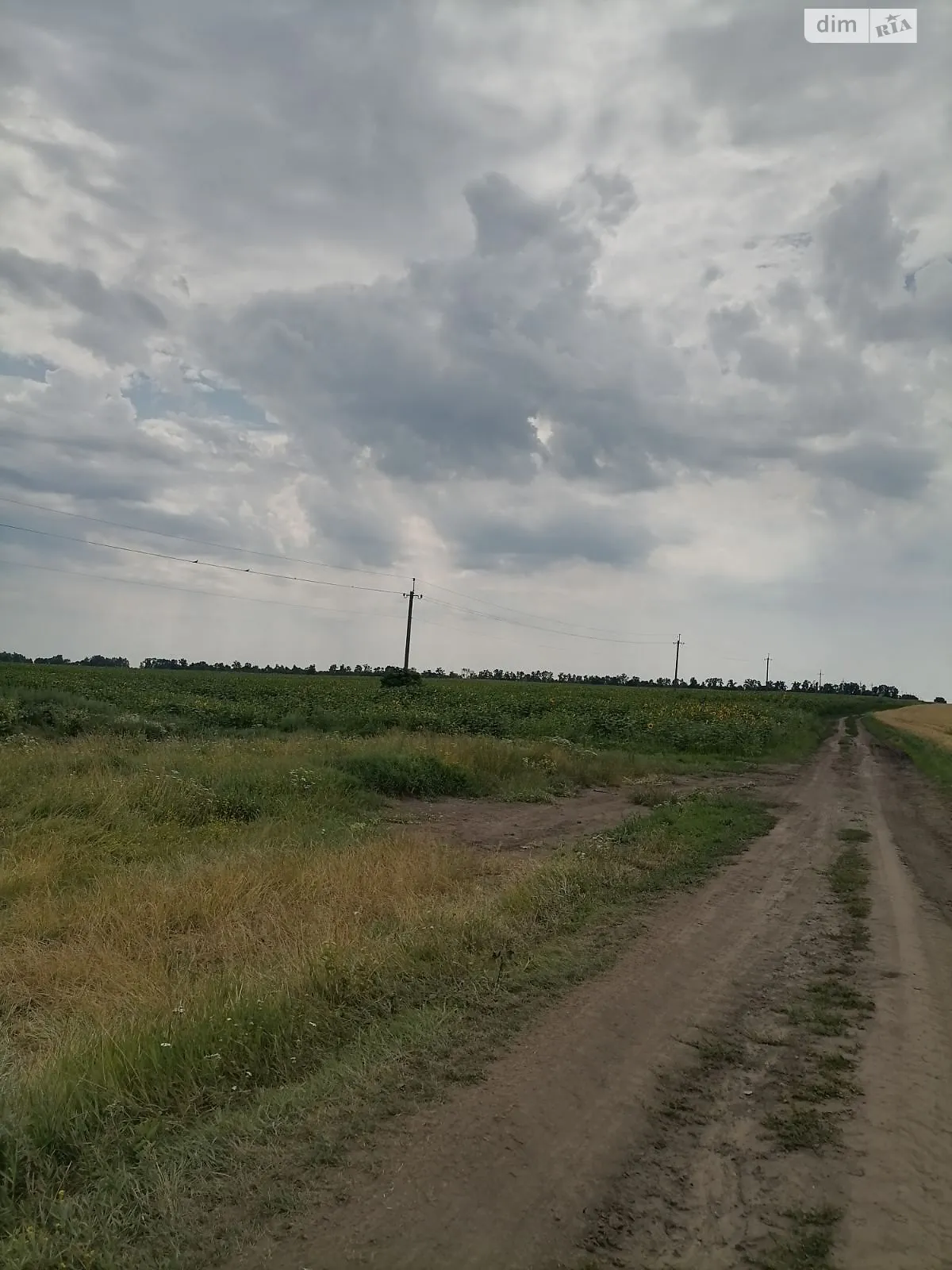 Сдается в аренду земельный участок 13.9361 соток в Сумской области, цена: 59615 грн - фото 1