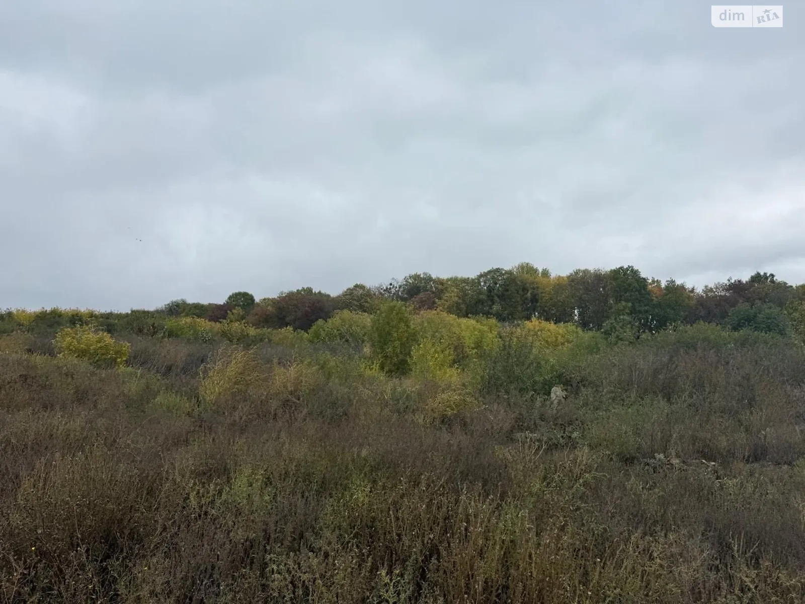 Здається в оренду земельна ділянка 1.5 соток у Вінницькій області, цена: 30088 грн - фото 1