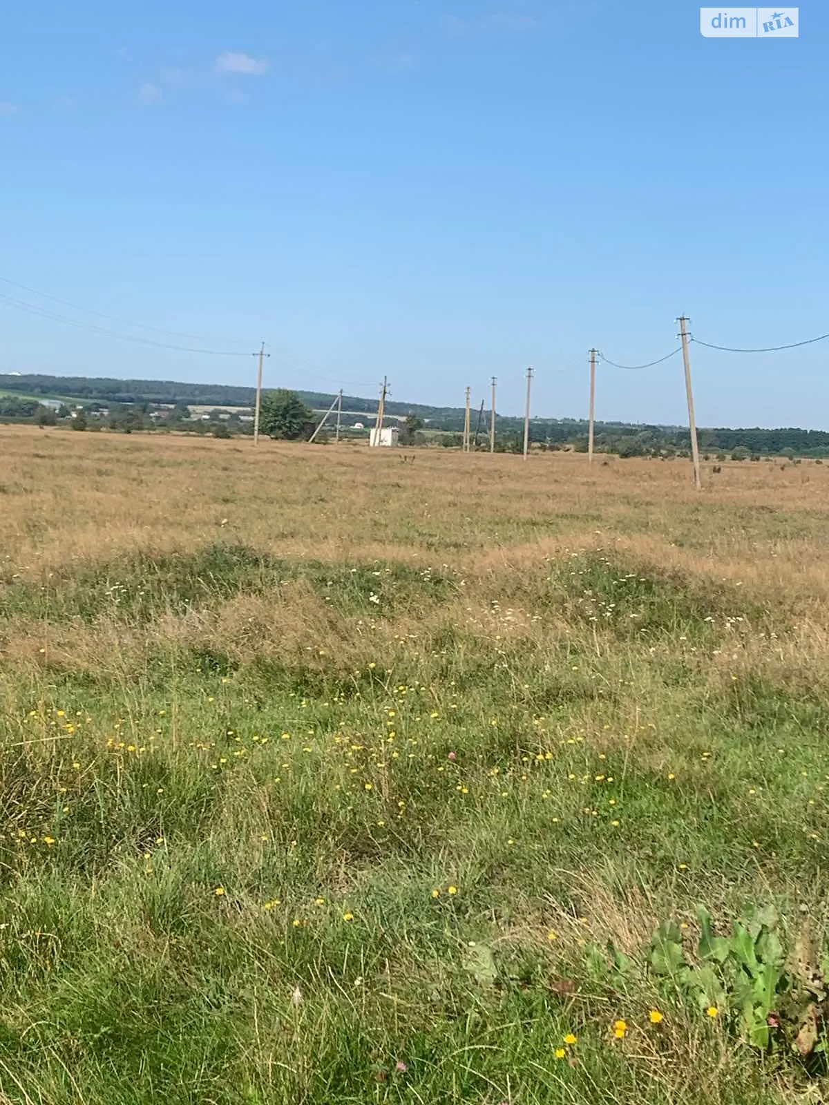 Здається в оренду земельна ділянка 20 соток у Вінницькій області, цена: 4414 грн - фото 1