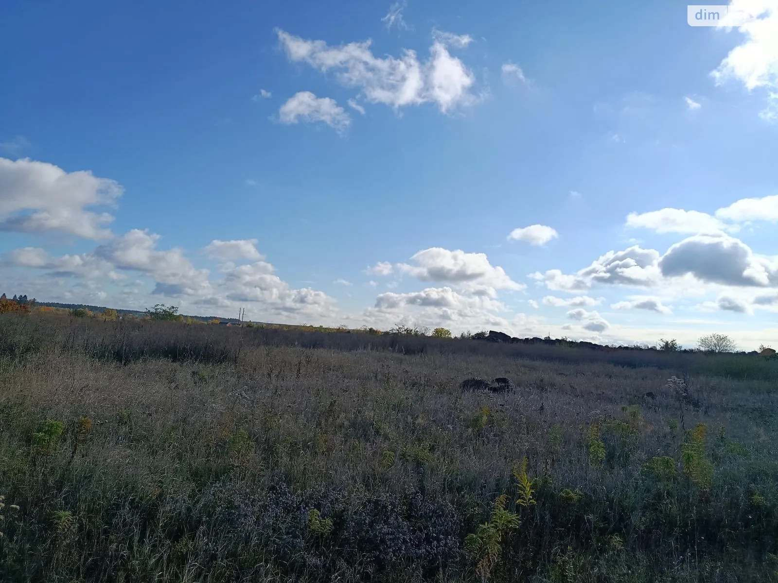 Здається в оренду земельна ділянка 20 соток у Вінницькій області, цена: 97591 грн - фото 1