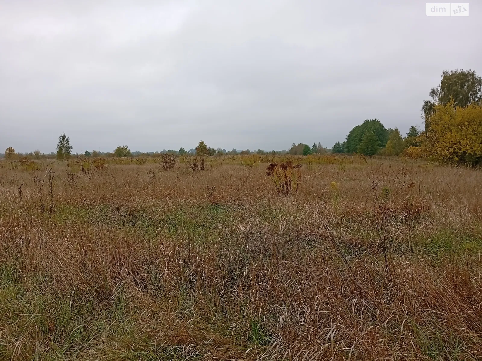 Продается земельный участок 10 соток в Житомирской области, цена: 8000 $ - фото 1