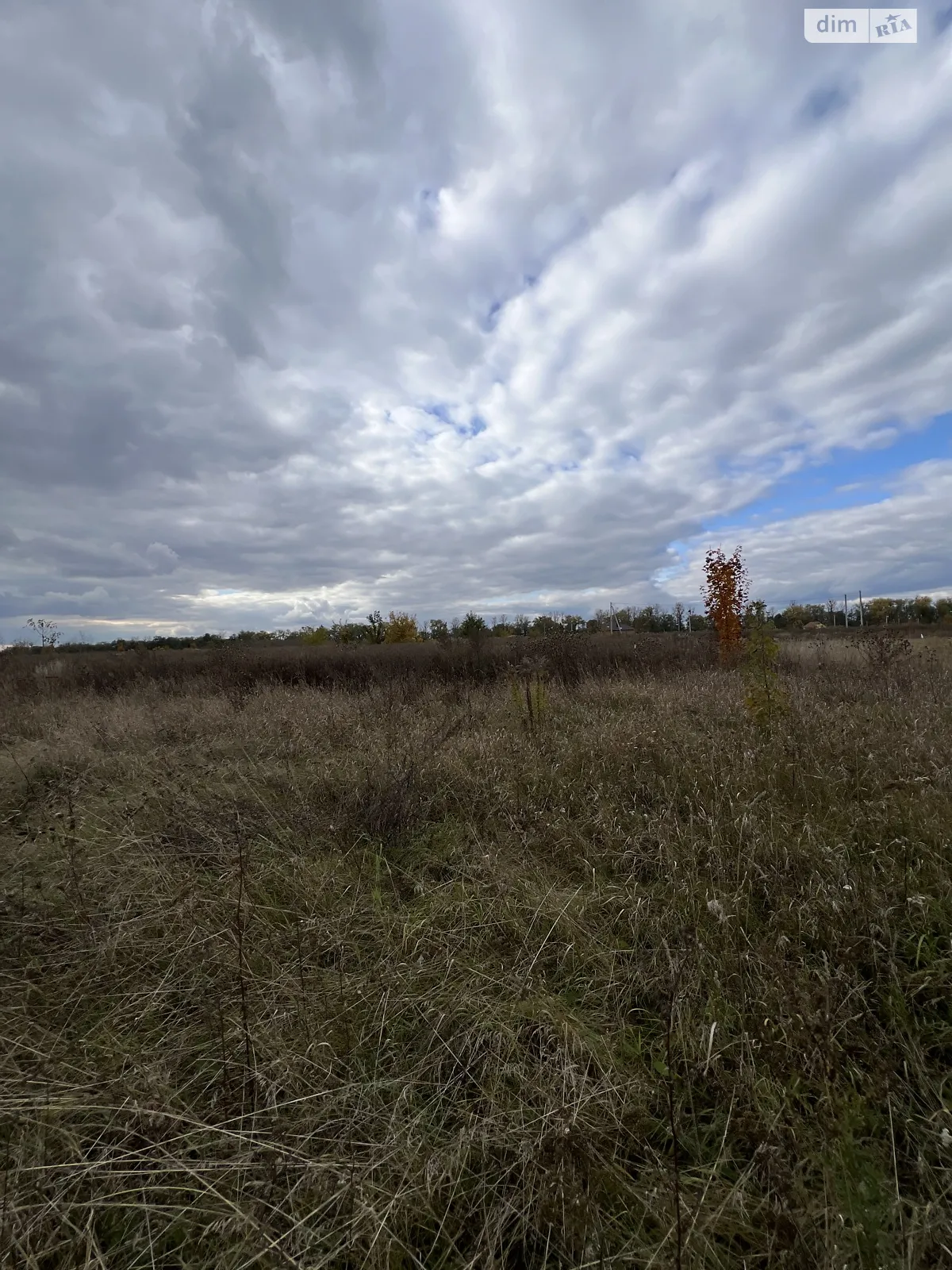 Бохоники, цена: 15000 $ - фото 1