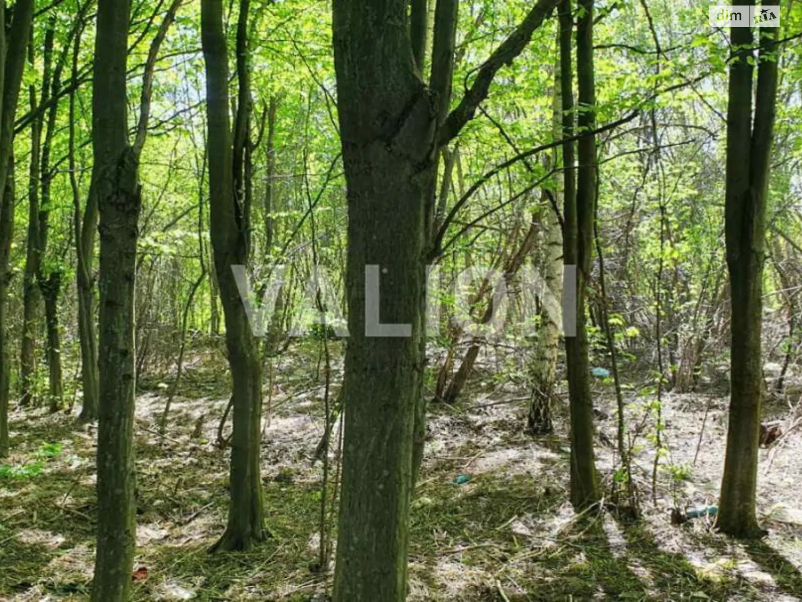 Продается земельный участок 30 соток в Киевской области, цена: 400000 $ - фото 1