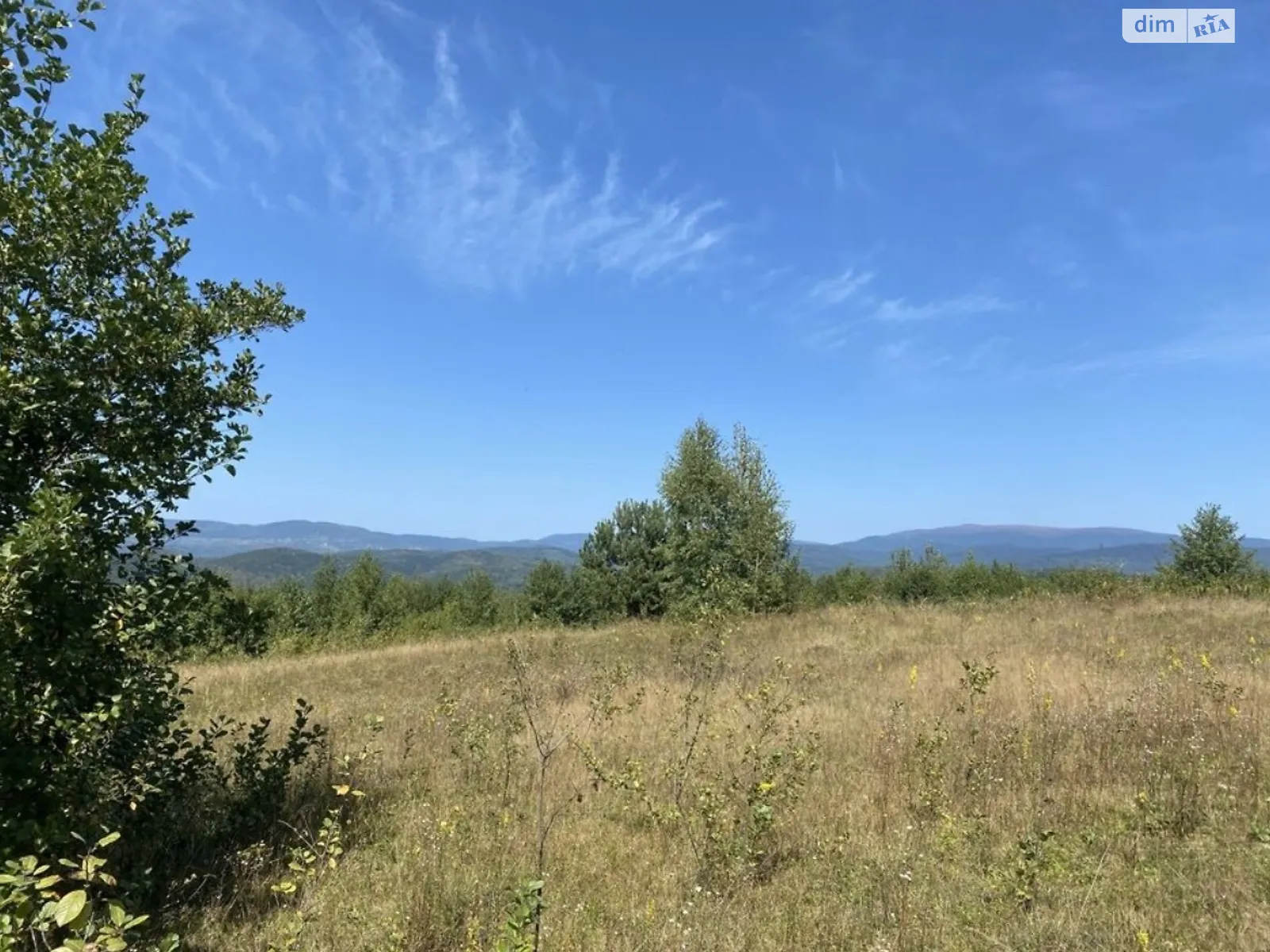 Продается земельный участок 1.9996 соток в Закарпатской области, цена: 57000 $ - фото 1