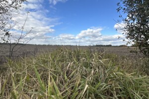 Продажа участка под жилую застройку, Винницкая, Якушинцы, Садовая улица