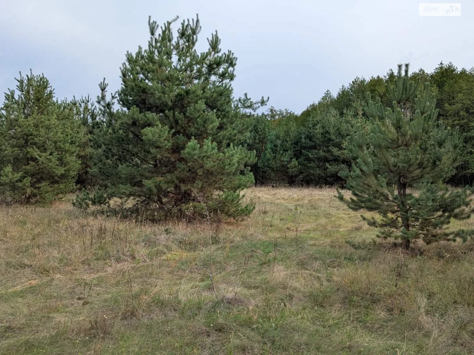 Продается земельный участок 9 соток в Полтавской области, цена: 4000 $ - фото 1