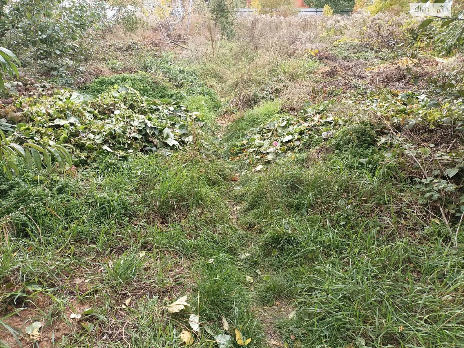 Продается земельный участок 12 соток в Винницкой области, цена: 195000 $ - фото 1