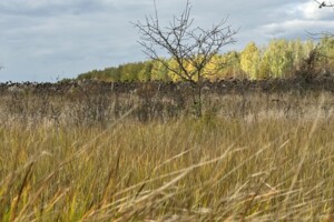 Продажа земли сельскохозяйственного назначения, Винницкая, Лукашовка (Литин)