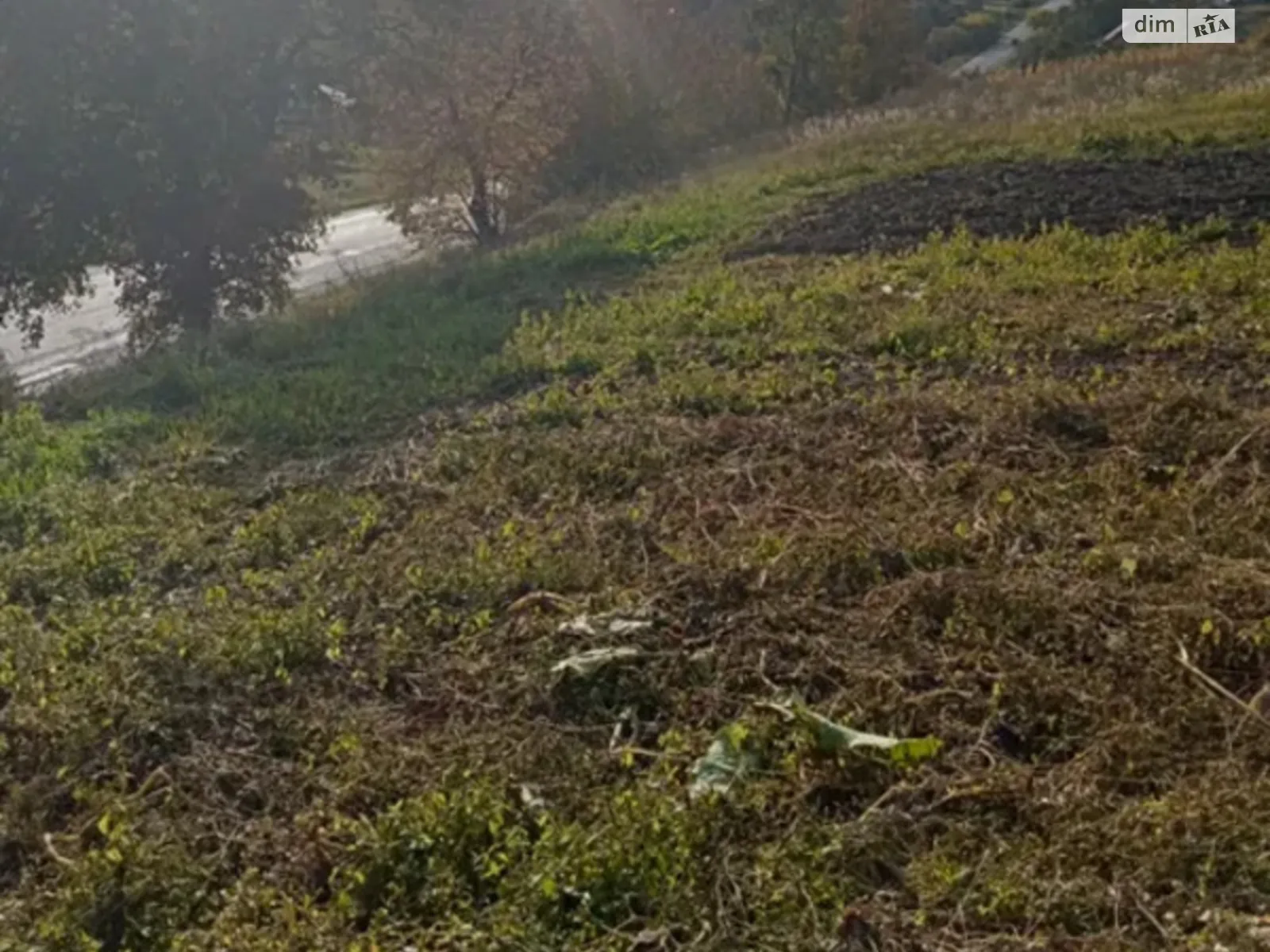 Продается одноэтажный дом 72 кв. м с бассейном, цена: 14000 € - фото 1