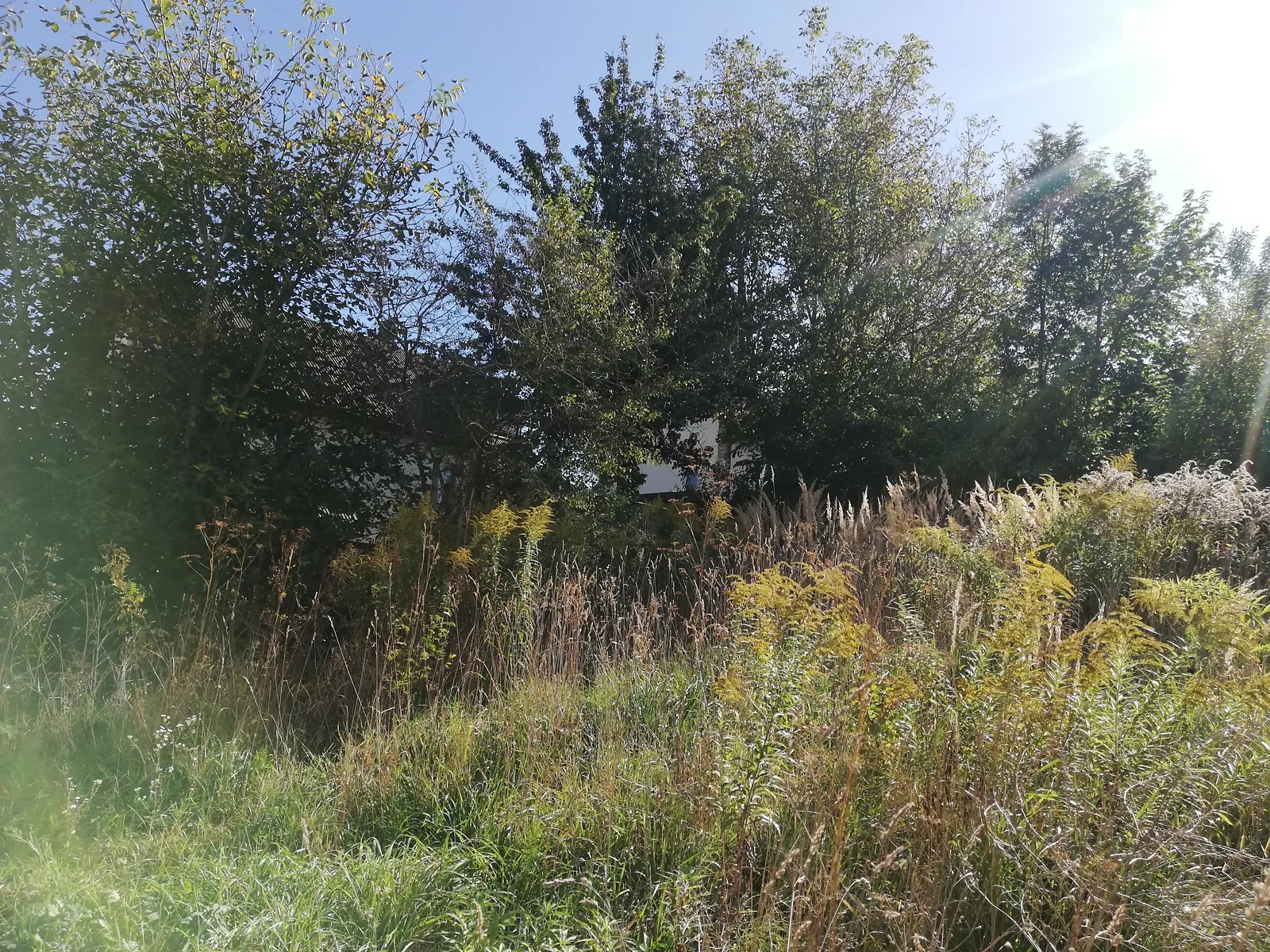 СТ Механізатор Петриков, цена: 5900 $ - фото 1