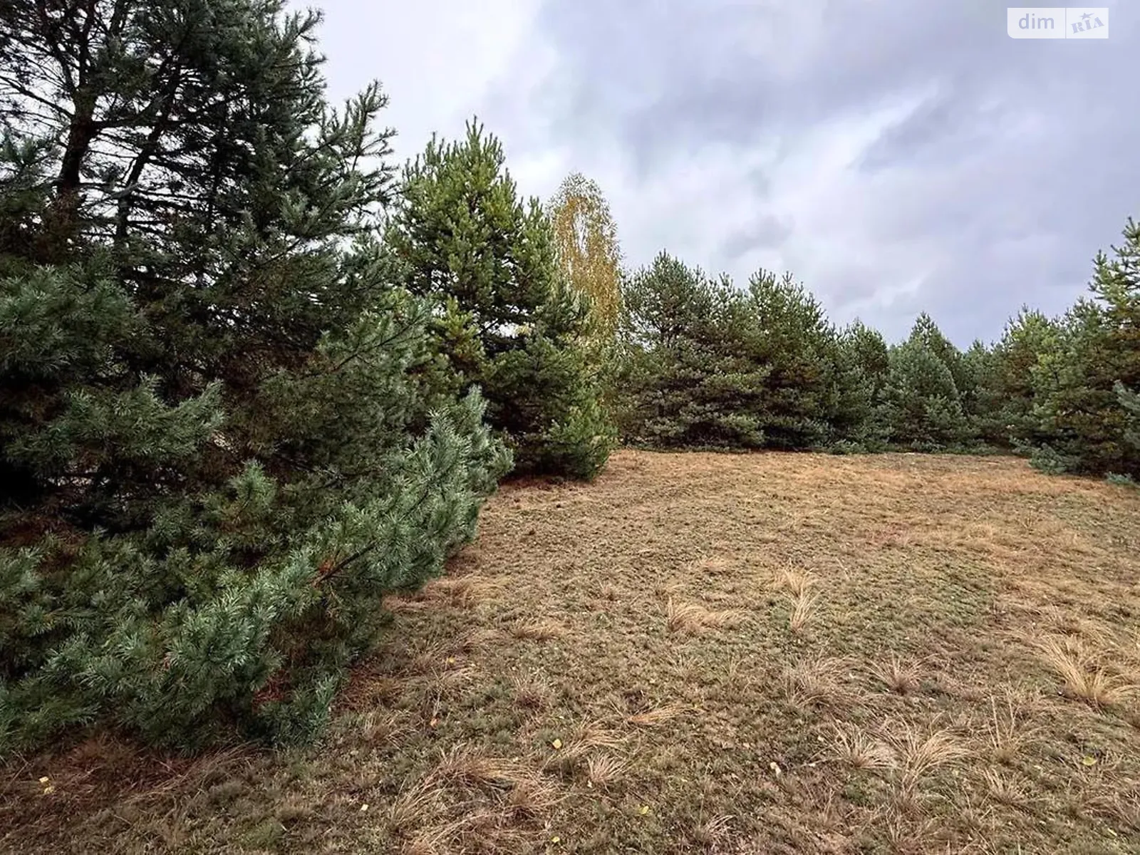 Продается земельный участок 18.08 соток в Киевской области, цена: 5000 $ - фото 1