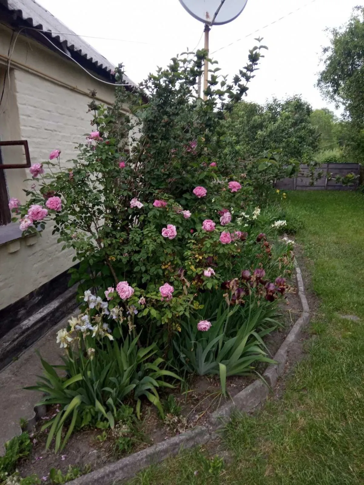 Продается одноэтажный дом 53 кв. м с террасой, цена: 9500 $ - фото 1