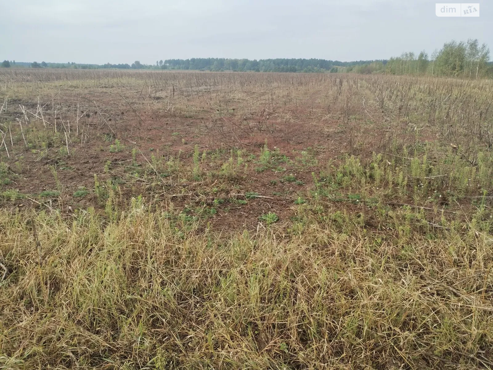 Немовичи, цена: 1532 грн - фото 1