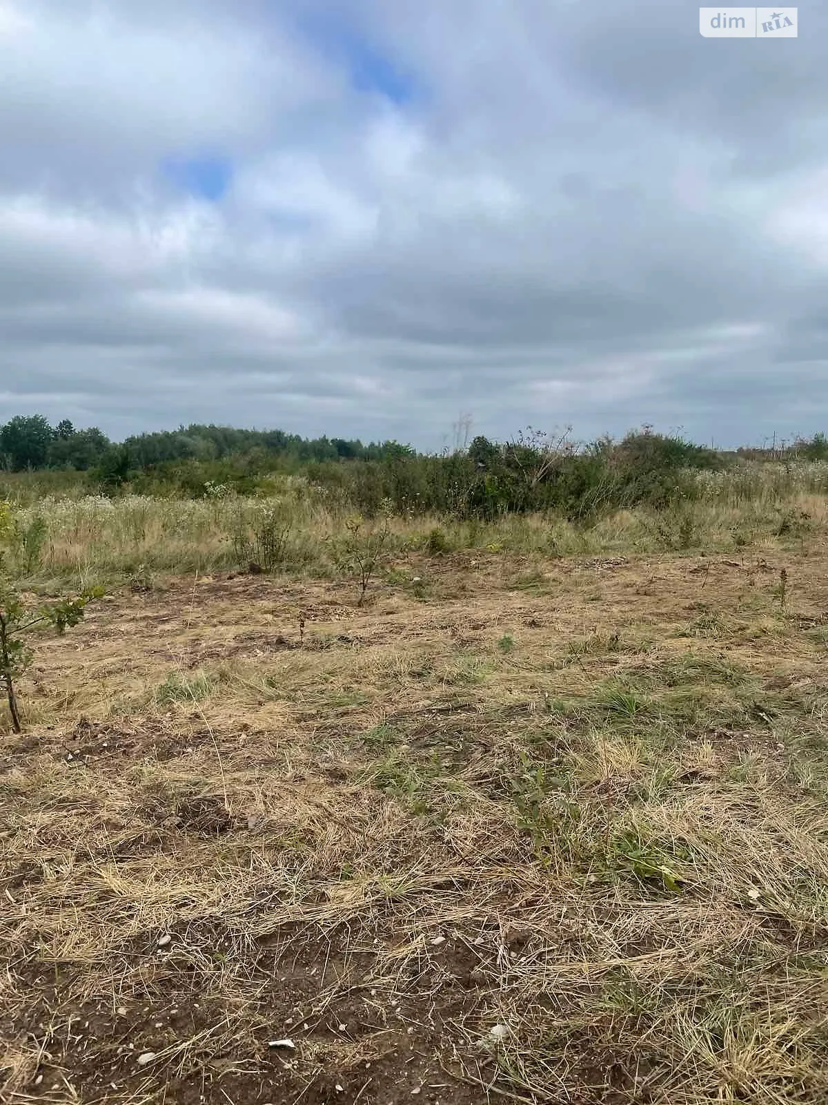 Сдается в аренду земельный участок 2.3729 соток в Ивано-Франковской области, цена: 753 грн - фото 1