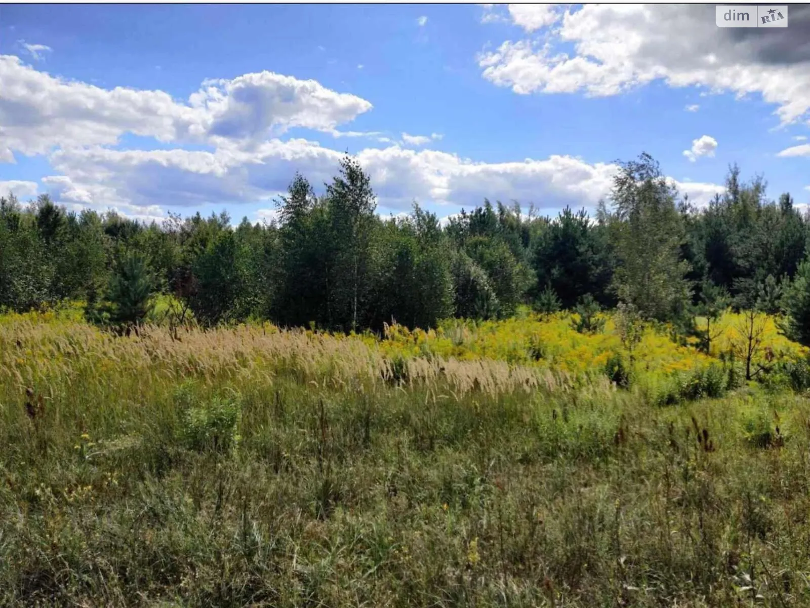 Продается земельный участок 6.81 соток в Житомирской области, цена: 6358497 грн - фото 1