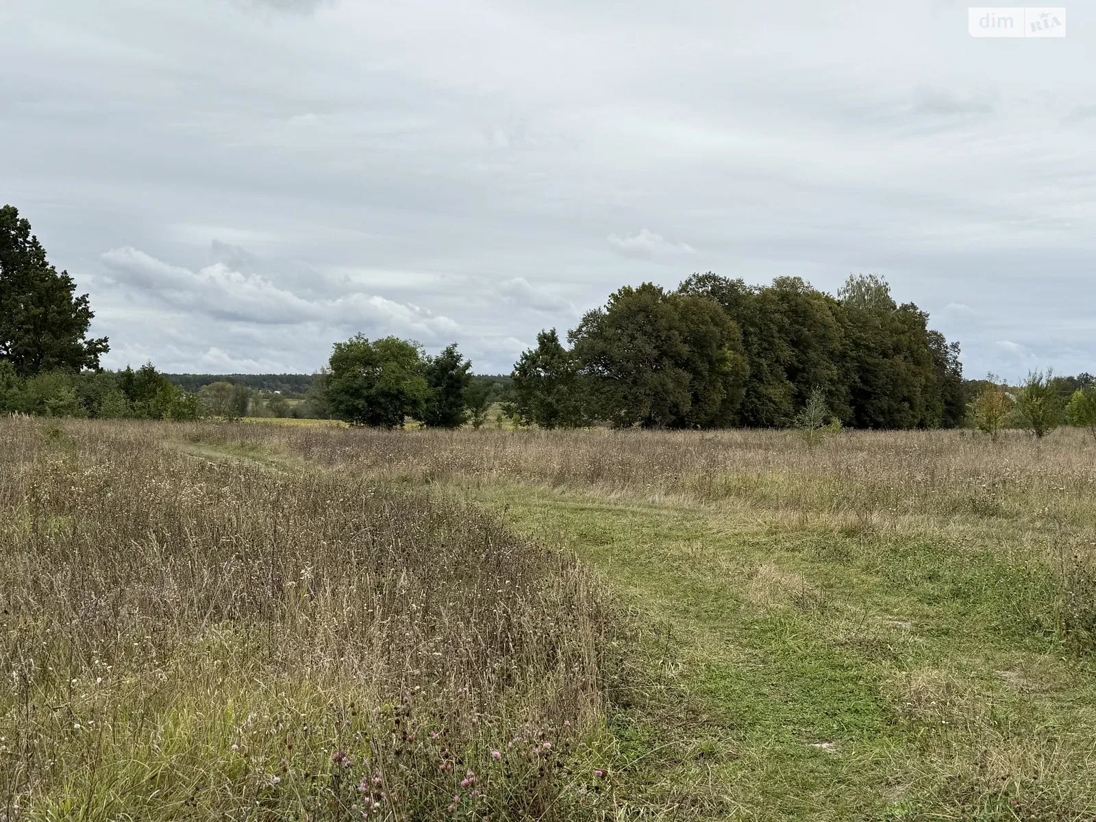 Продается земельный участок 8 соток в Винницкой области, цена: 5000 $ - фото 1