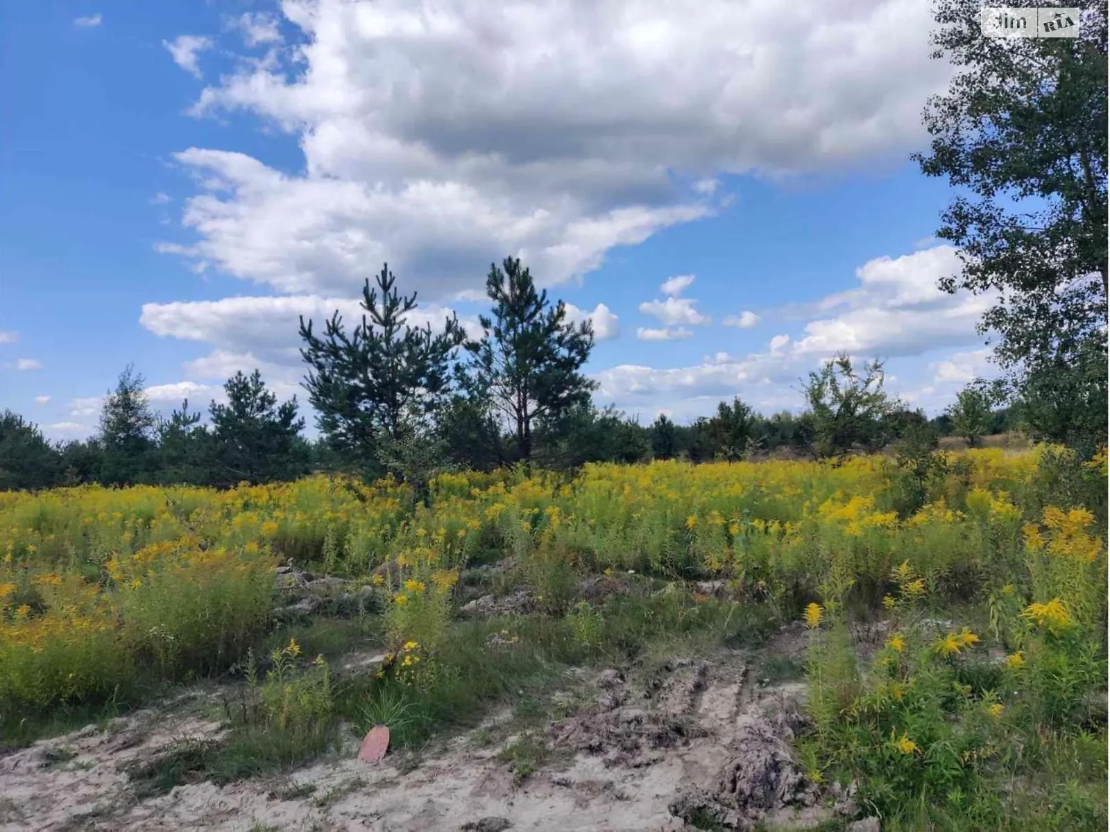 Продается земельный участок 1.06 соток в Житомирской области, цена: 969370 грн - фото 1