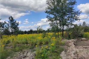 Купить землю под застройку в Житомирской области