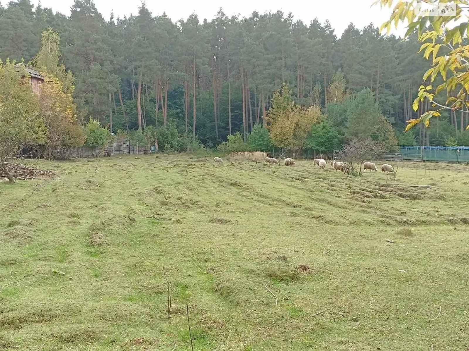 Продается земельный участок 78.59 соток в Хмельницкой области, цена: 100000 $ - фото 1