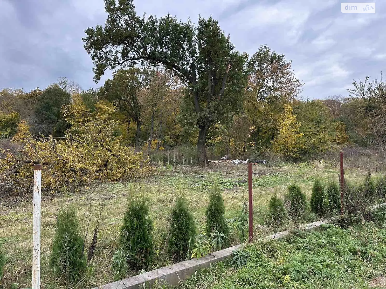 Продается земельный участок 50 соток в Винницкой области, цена: 30000 $ - фото 1