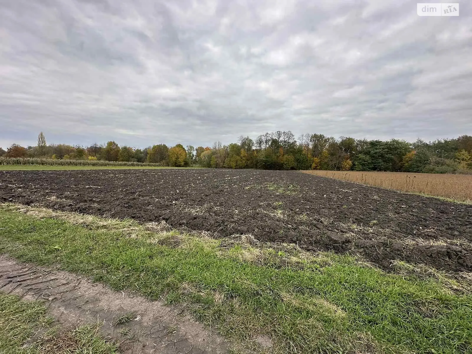 Продается земельный участок 25 соток в Винницкой области, цена: 8500 $ - фото 1