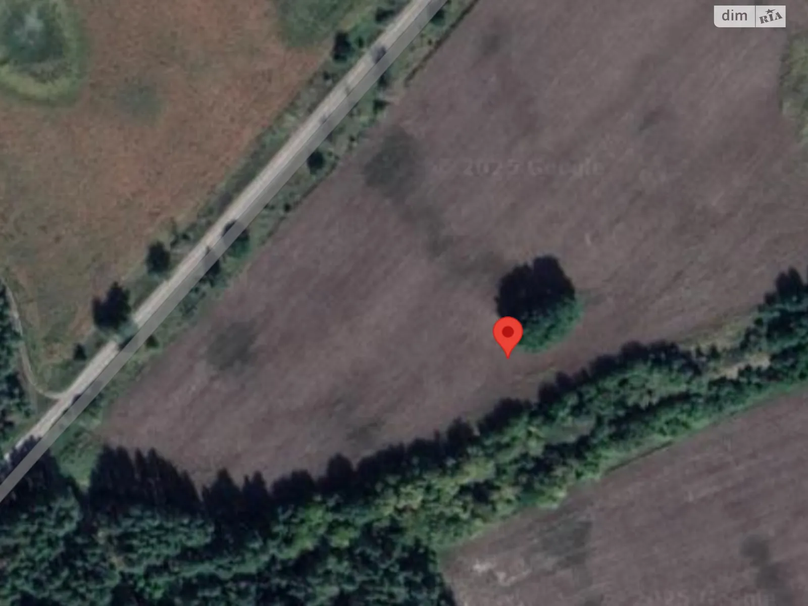 Цибли, цена: 261948 грн - фото 1