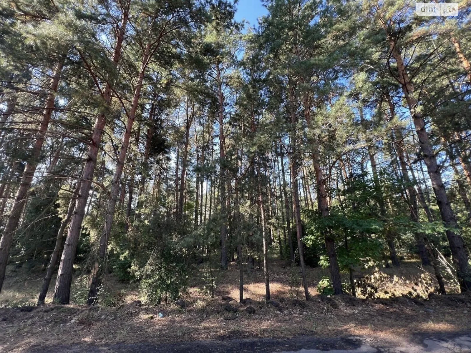 Толокунь, цена: 5500 $ - фото 1