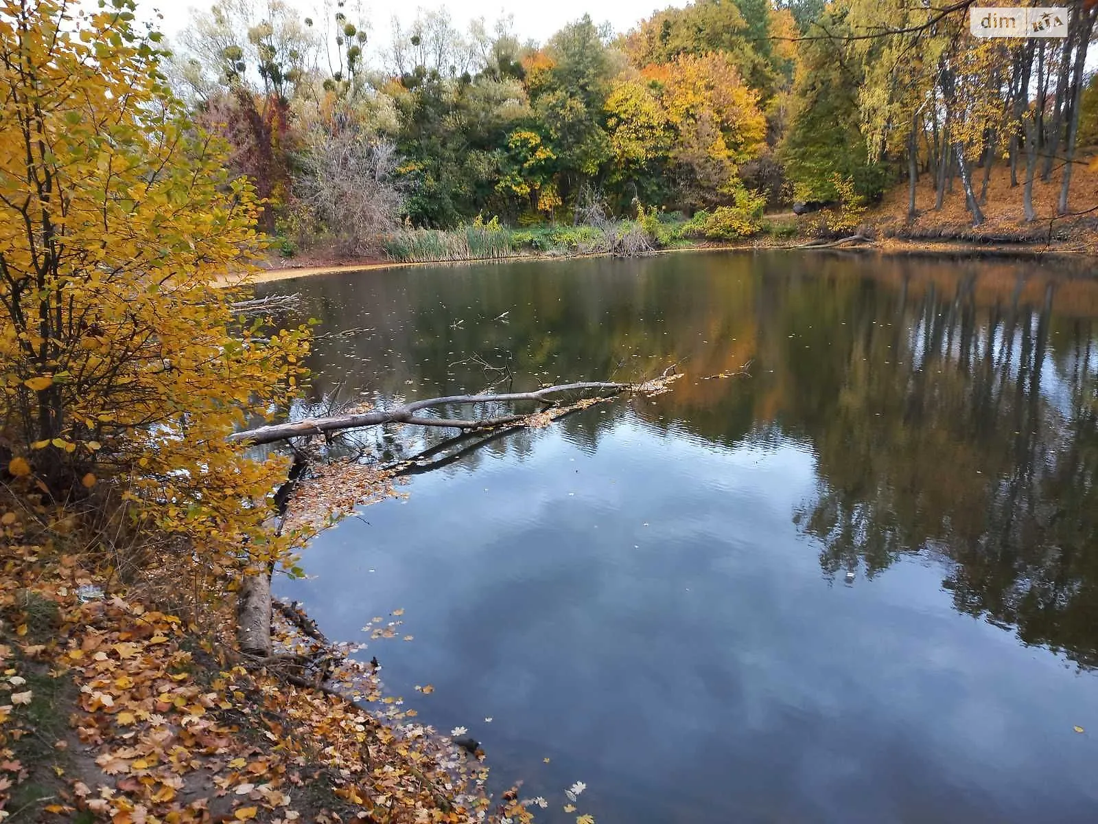 Сдается в аренду земельный участок 1.3432 соток в  области, цена: 3804 грн - фото 1