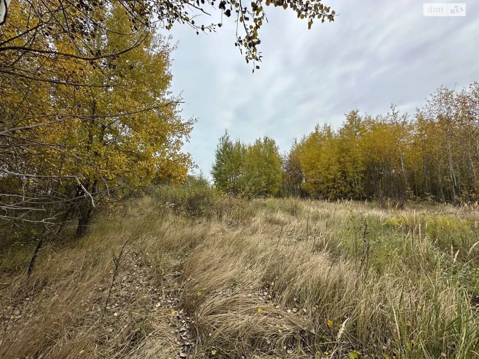 Продается земельный участок 41.54 соток в Киевской области, цена: 7000 $ - фото 1