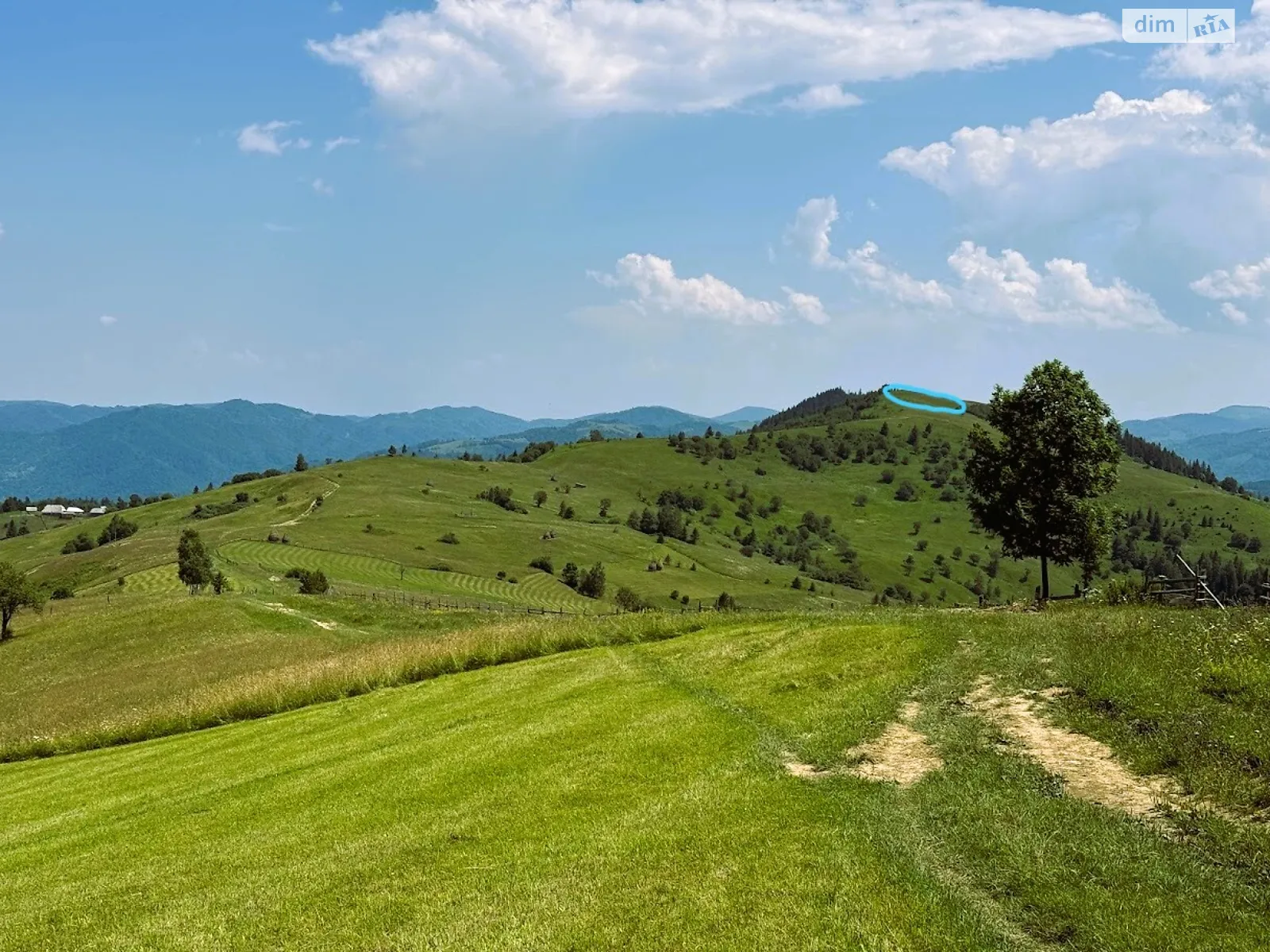 Продается земельный участок 46.29 соток в Ивано-Франковской области, цена: 88000 $ - фото 1