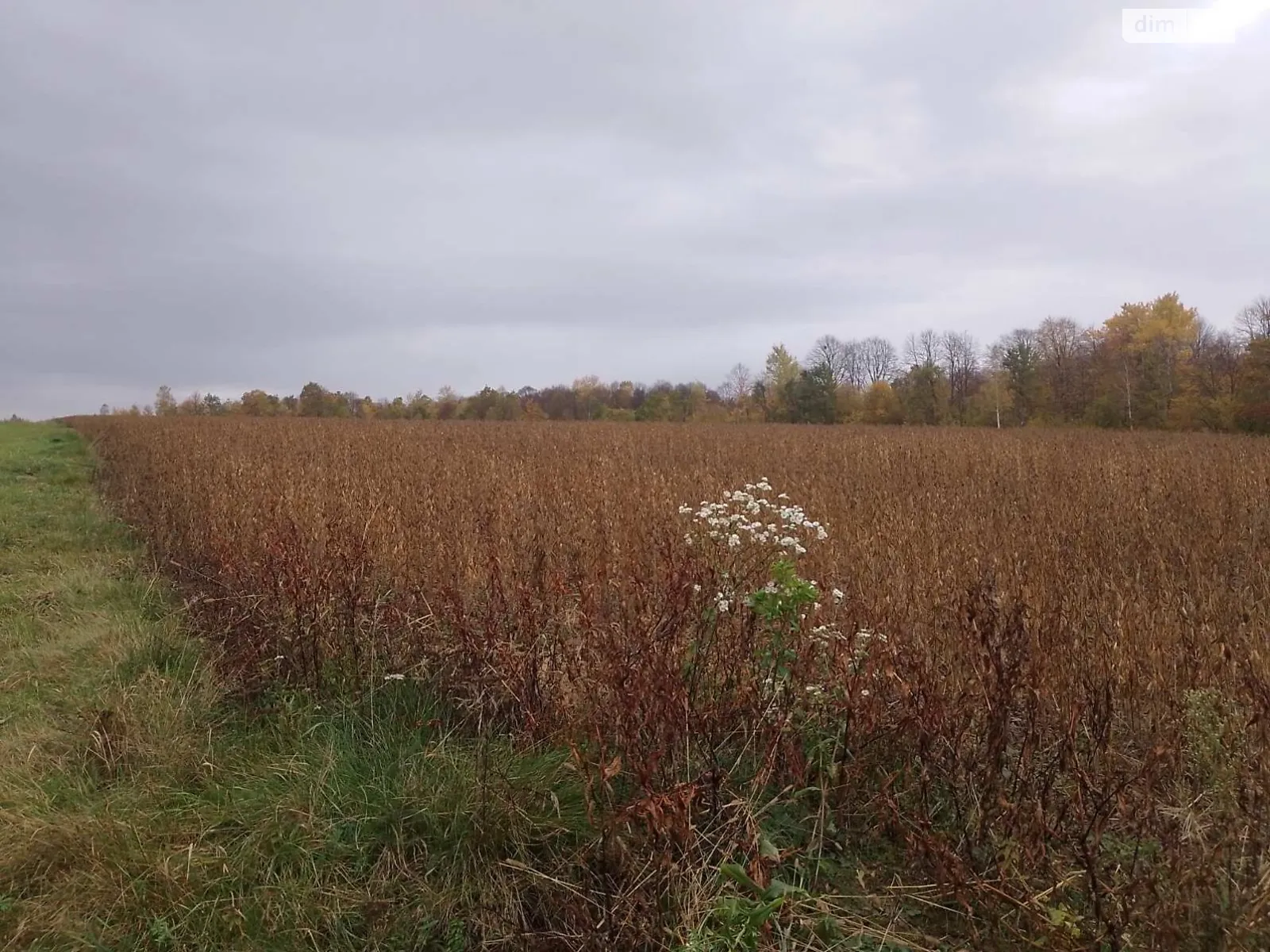 Сдается в аренду земельный участок 1.1923 соток в области, цена: 2495 грн - фото 1