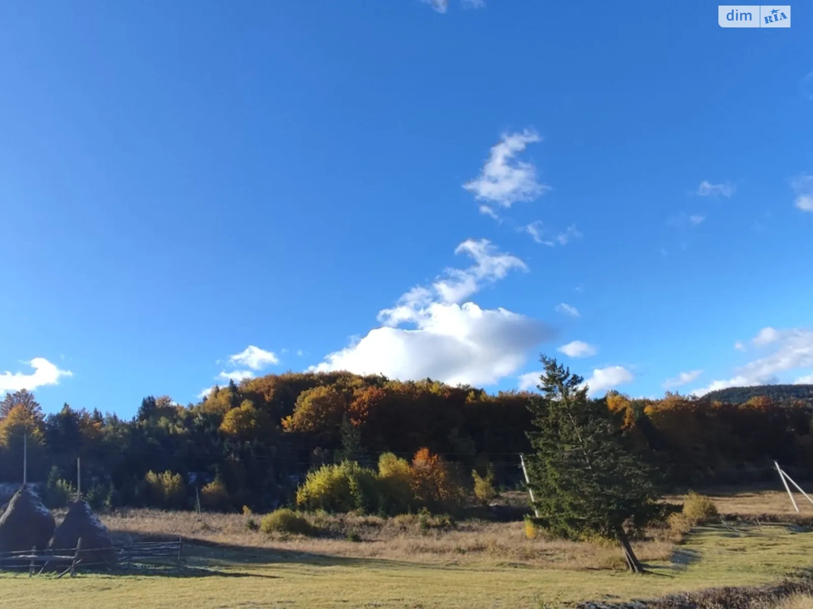 Продается земельный участок 133.92 соток в Ивано-Франковской области, цена: 113832 $ - фото 1