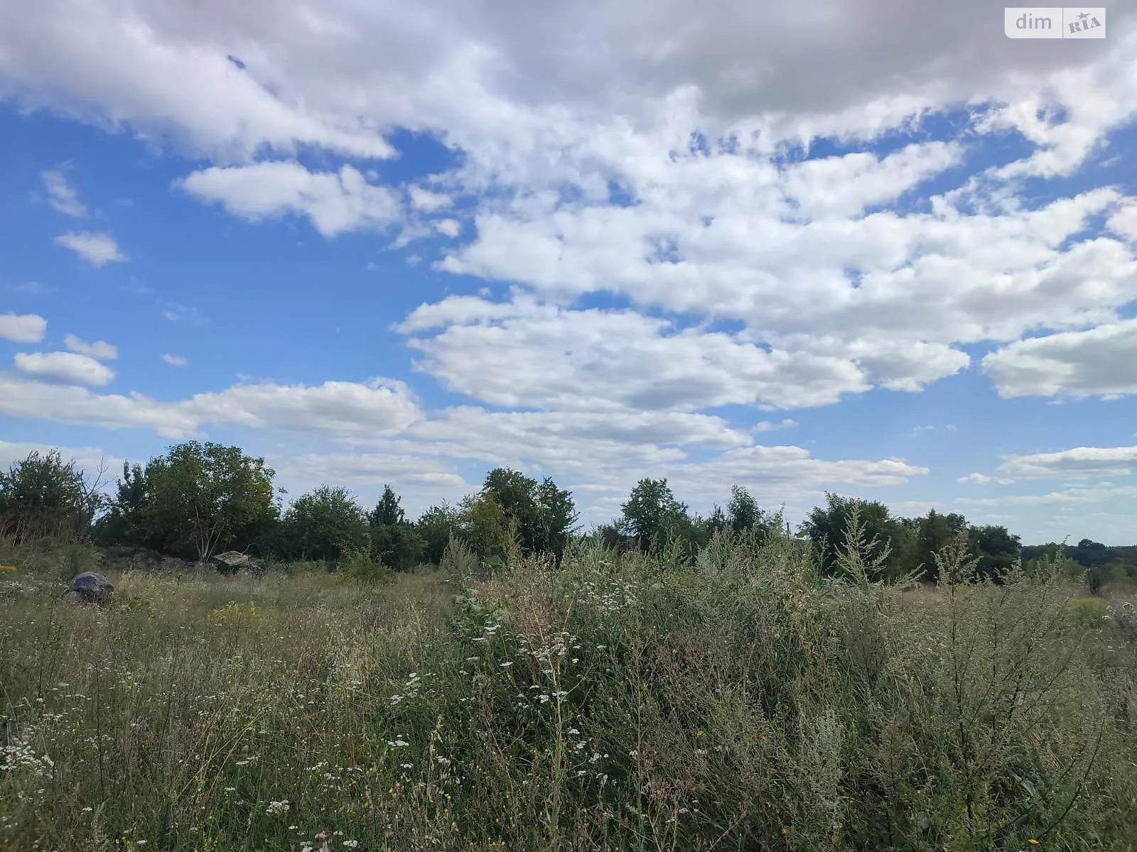 Продается земельный участок 6 соток в Винницкой области, цена: 30000 $ - фото 1