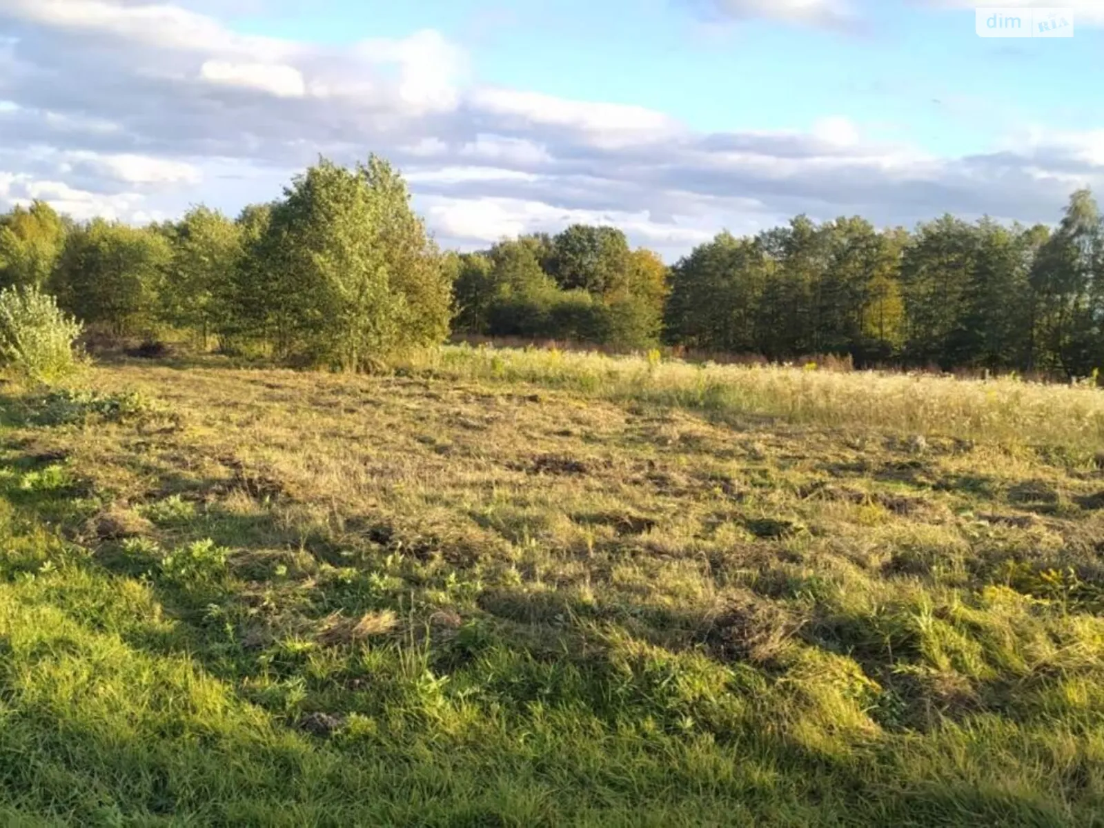 Задебри, цена: 21500 $ - фото 1