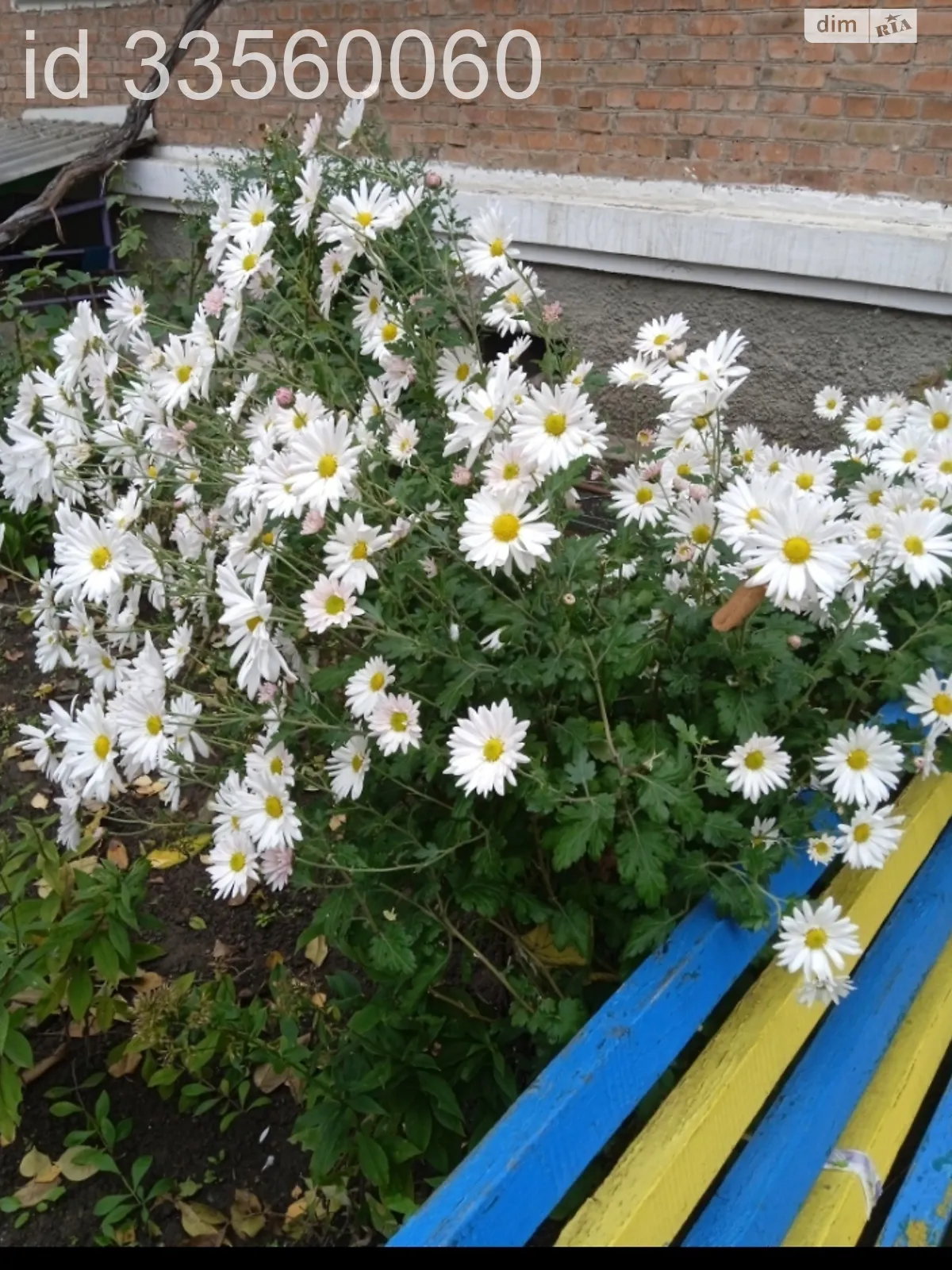 Продається 2-кімнатна квартира 44.4 кв. м у Вінниці, вул. Пирогова - фото 1