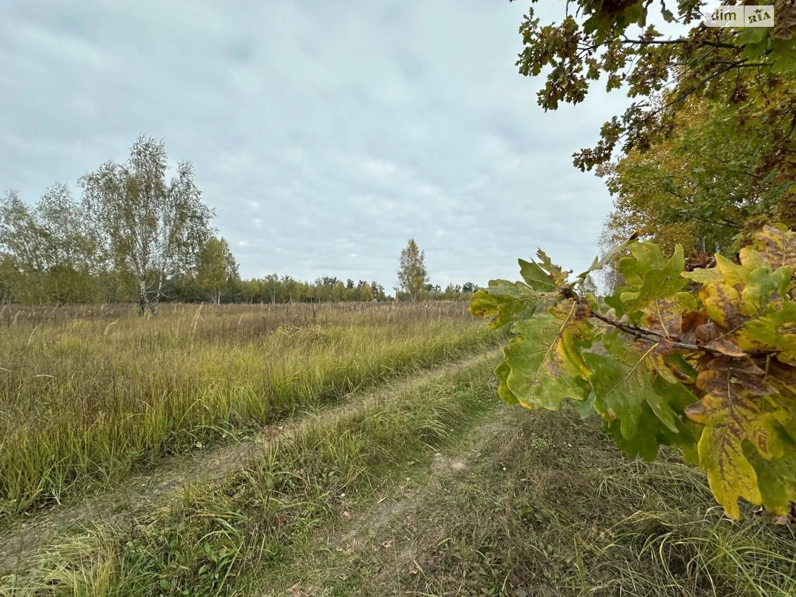 Продается земельный участок 2.014 соток в Киевской области, цена: 25000 $ - фото 1