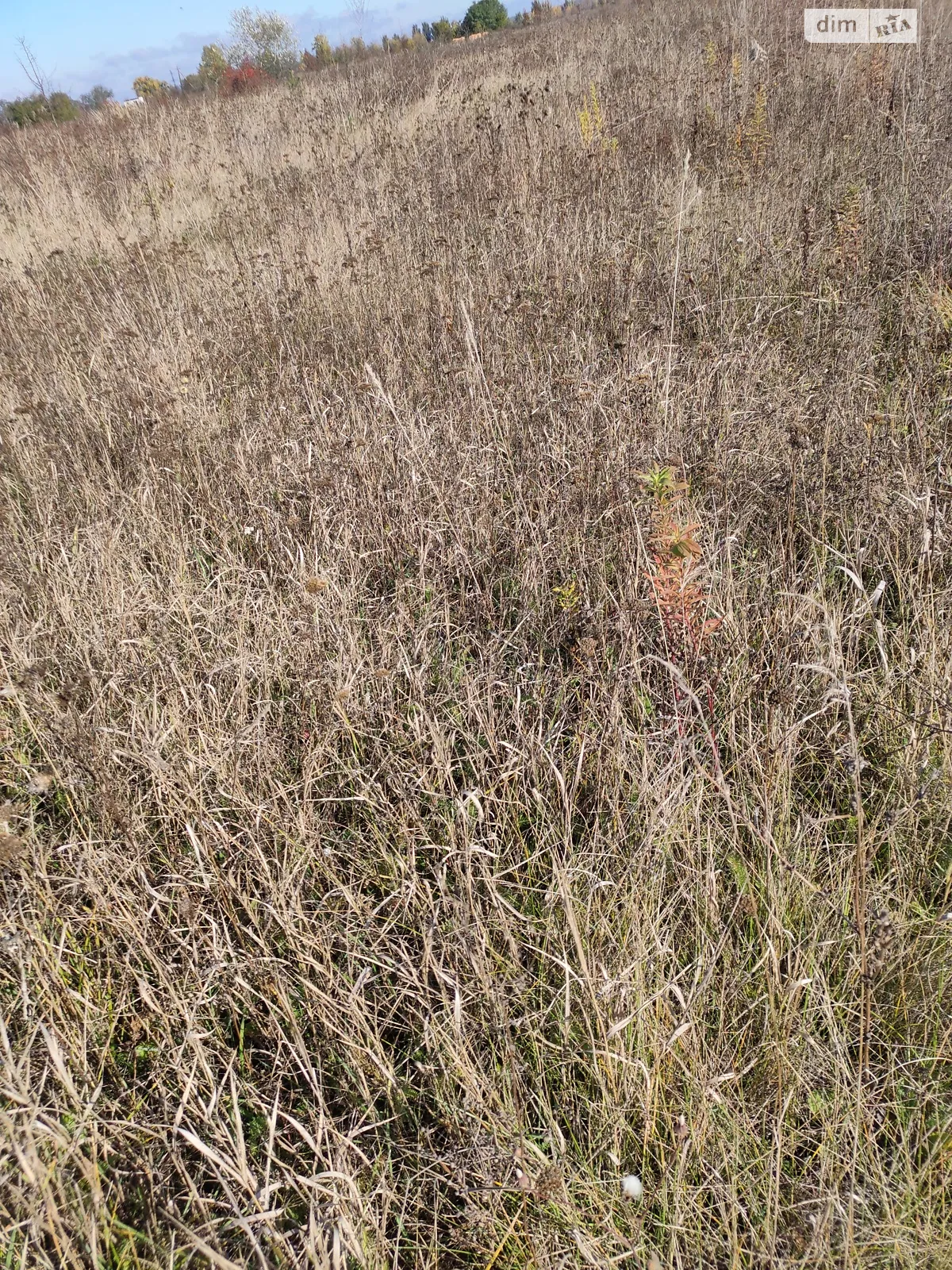 ул. Головная Академический Винница, цена: 36000 $ - фото 1