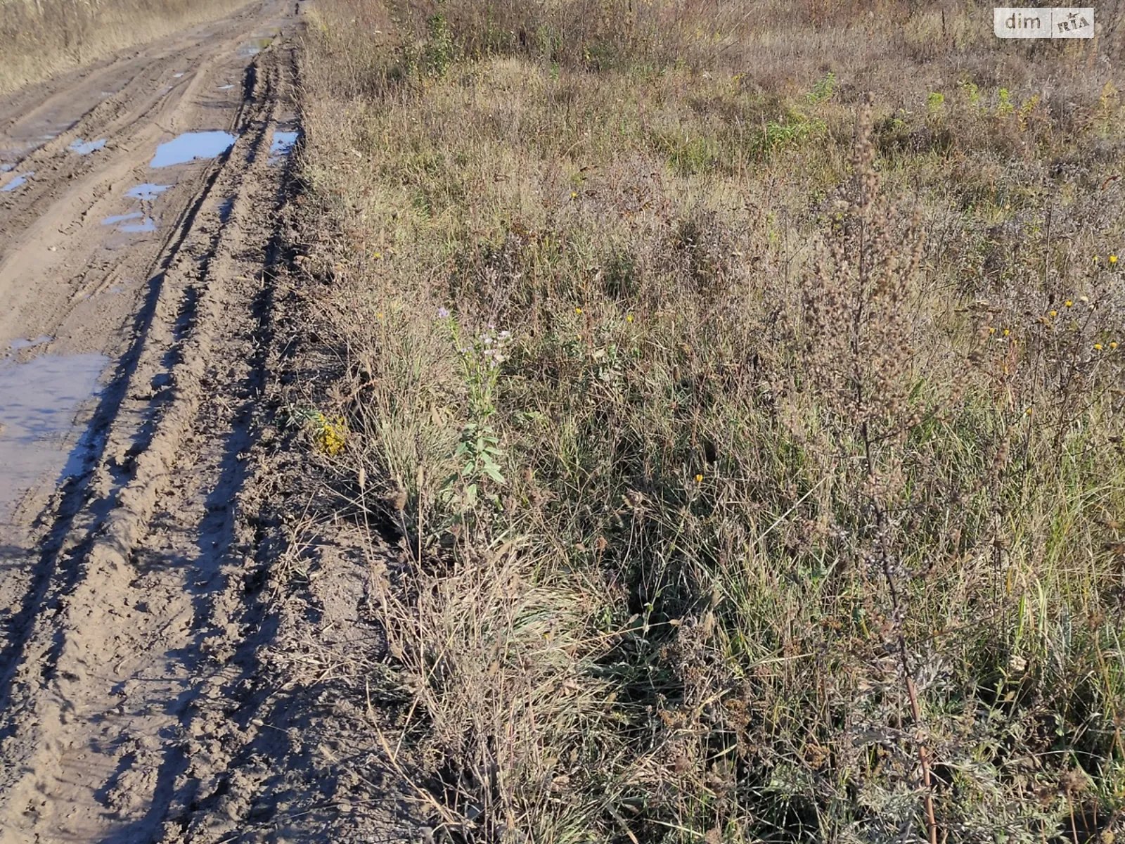 Продается земельный участок 8 соток в Винницкой области, цена: 36000 $ - фото 1