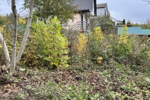 Продажа земли сельскохозяйственного назначения, Хмельницкая, Ружичанка, Северная улица