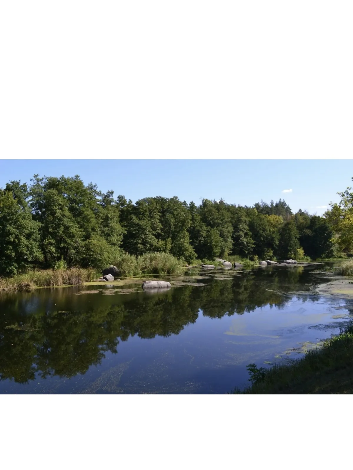 Чайки (Богуслав), цена: 6000 $ - фото 1