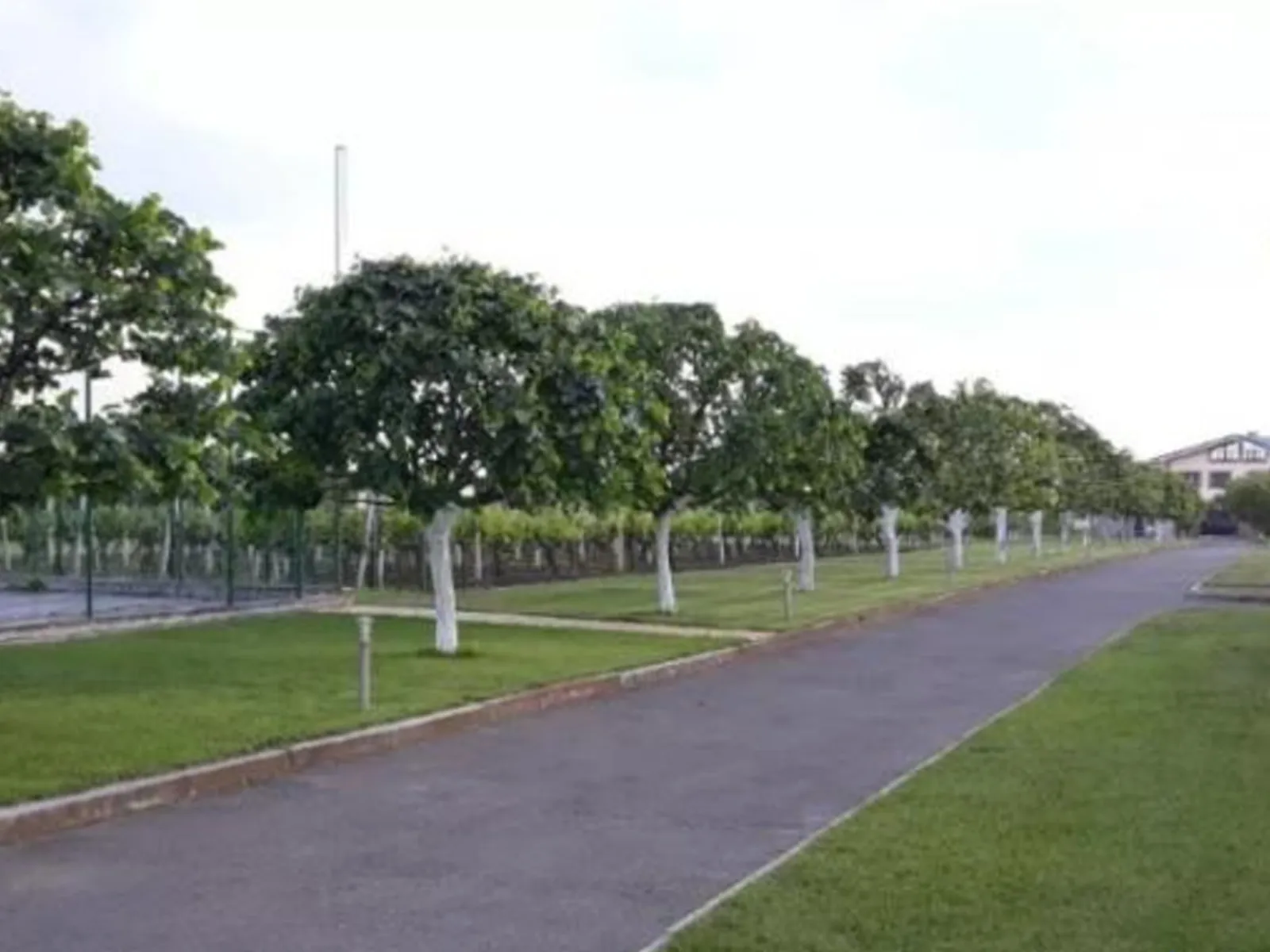 ул. Юбилейная Новая Дофиновка, цена: 50000 $ - фото 1