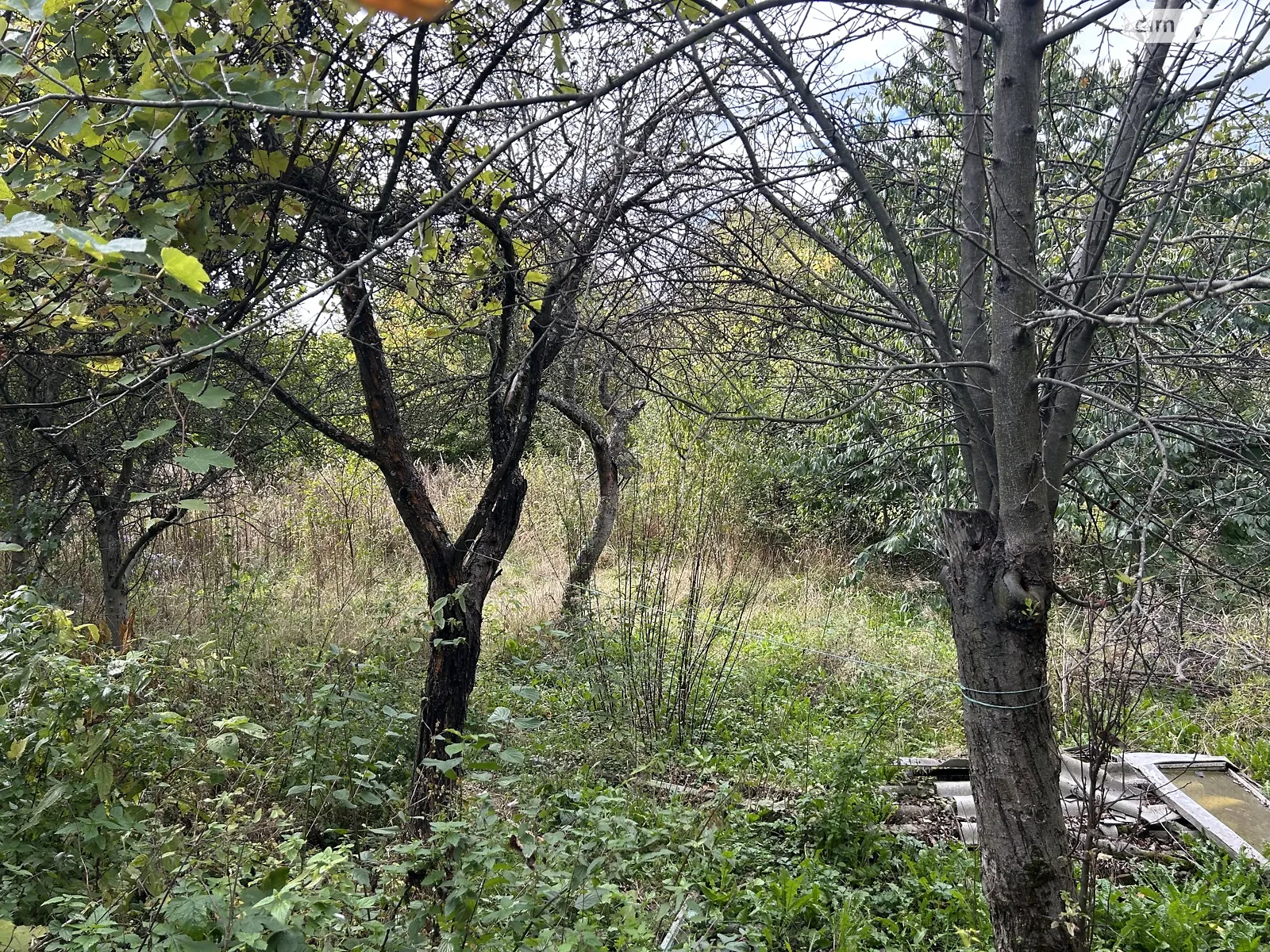 Продается одноэтажный дом 40 кв. м с участком, цена: 38000 $ - фото 1