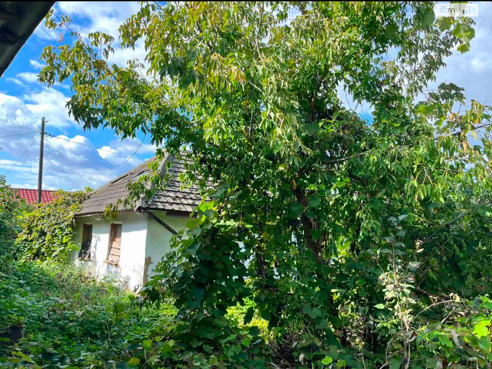 Продается земельный участок 5.26 соток в Хмельницкой области, цена: 32600 $ - фото 1